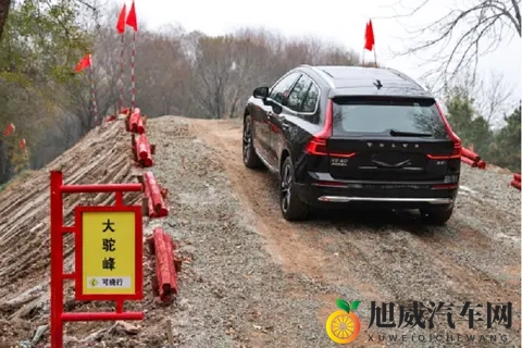 91暗网：暗网汽车论坛：揭秘神秘交易世界-2