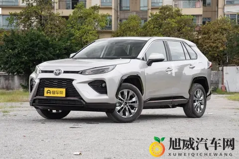 一个人免费看的www视频：新能源汽车新宠，独特设计引关注-3