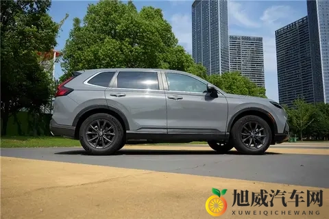 国产亚洲a：国产精品，亚洲风采独具一帜-3