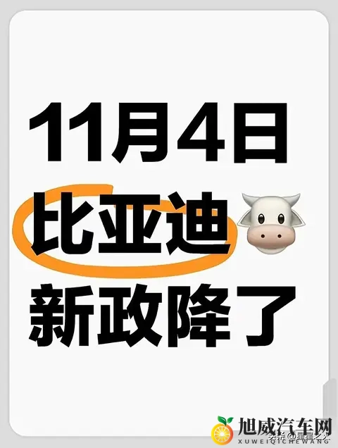 刚开完会：比亚迪全系新政，大跳水！💥-1