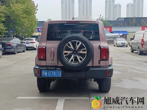 14万多拿下硬派越野！22年坦克300，圆你诗和远方-2