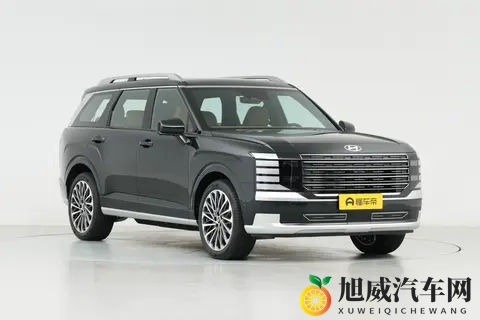 30万级家庭大空间之选：细致体验新一代帕里斯帝-1