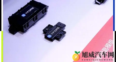 wwwwxxxx欧美：欧美风情，探寻神秘世界-2