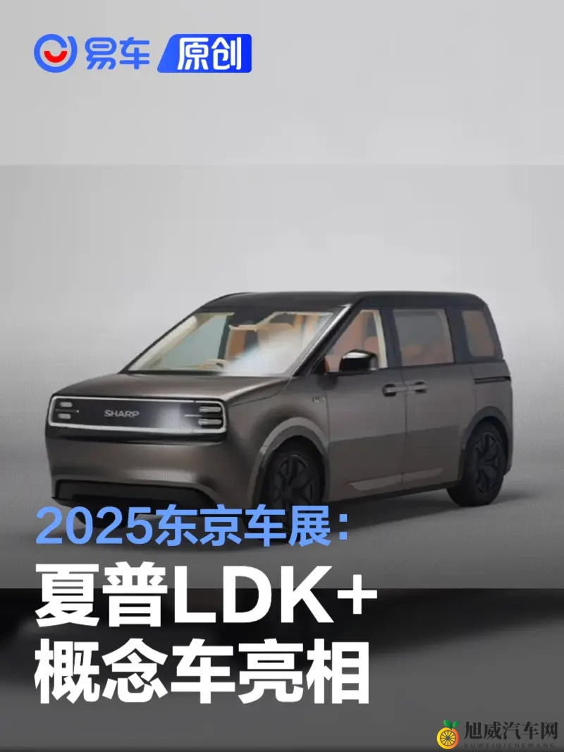 自述巴厘岛被技师进入：巴厘岛维修技师意外闯入车内，安全引担忧-1