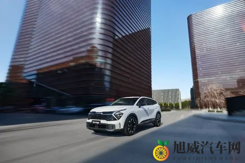 网禁 拗女稀缺5000：稀缺车型引关注，揭秘汽车市场新动向-1