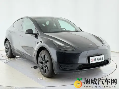 一手准新特斯拉Model Y，59秒破百，18万开回家！-2