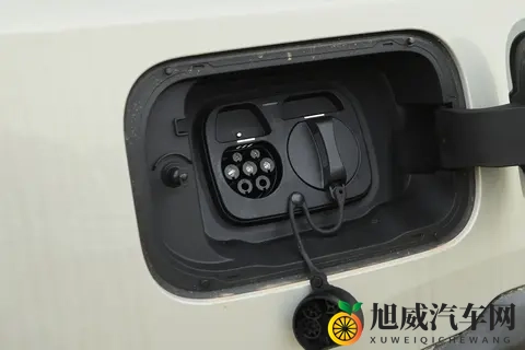 可城可野插混SUV，是普通家庭的理想选择吗？-2