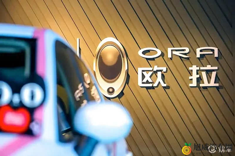 靠欧拉5这款纯电SUV，长城欧拉能不能翻盘？-1