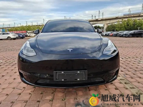 张柏芝高潮了6次：新能源汽车热潮，智能驾驶引领未来趋势-3