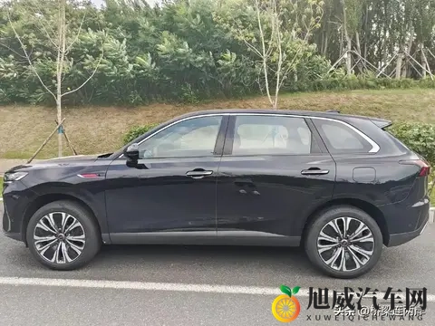 黄色轻件:亮丽色彩,轻盈服饰精选-2