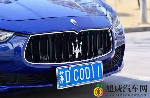 全汉字车牌上路被人举报？交警来到笑了：我真管不了-2