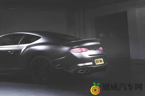 yw.193.爆乳尤物.ccm：独特设计爆红，汽车新宠销量火爆-2