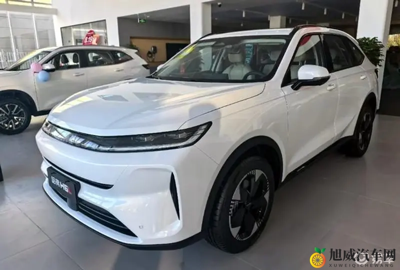 mr.好色：风流才子，品味独特，风情万种-1