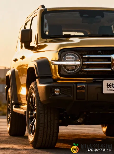 中国车企拉美大乱斗：11月吉利联姻雷诺，而比亚迪长城硬刚巴西！-2