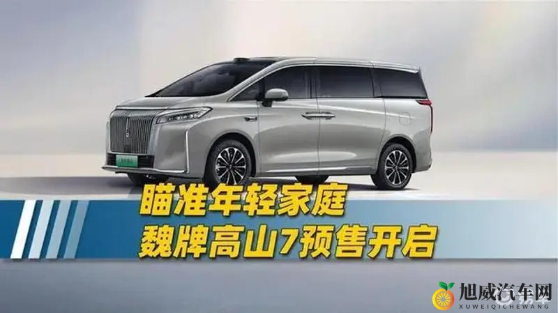 GAY片男同网站www免费：当代消费者如何选择理想座驾-2