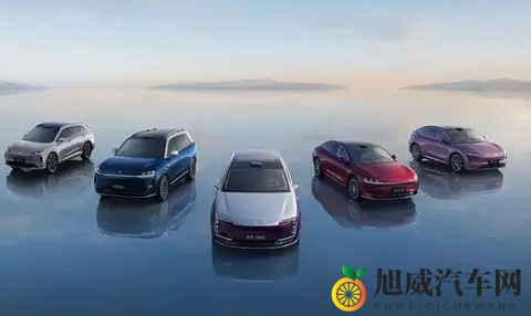 车评  零跑夺冠、理想失速，我们该为销量买单吗？-1