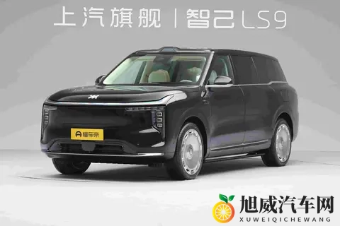 空间大了,价格低了,谁还买豪华车?-2