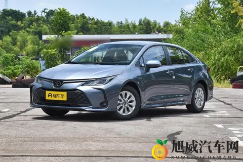 美女脱光光软件：性感女神专用，隐私安全脱衣神器-1