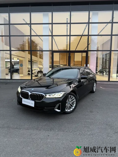 21万多拿下,感受行政级座驾魅力——二手宝马525Li-3