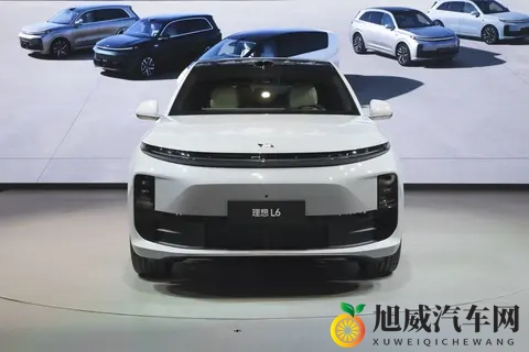 1-10月新势力车企KPI达成率：小鹏提前冲线，理想、极氪只有5成多-3