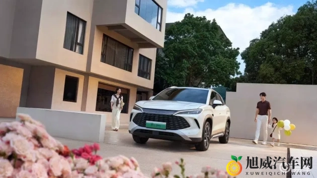 网曝门：网络风波事件,引发公众关注-1