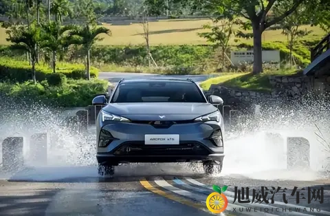 家庭投票！为啥都选全新极狐阿尔法t5？-2