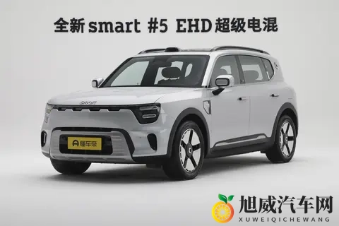 惠后售价1499万元起，续航超1600公里，全新smart精灵#5EHD上市-1