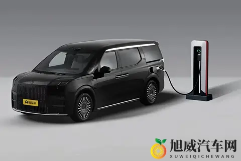 家庭商务通吃？极氪 009：800V +CCD+空悬  还有购车福利-1