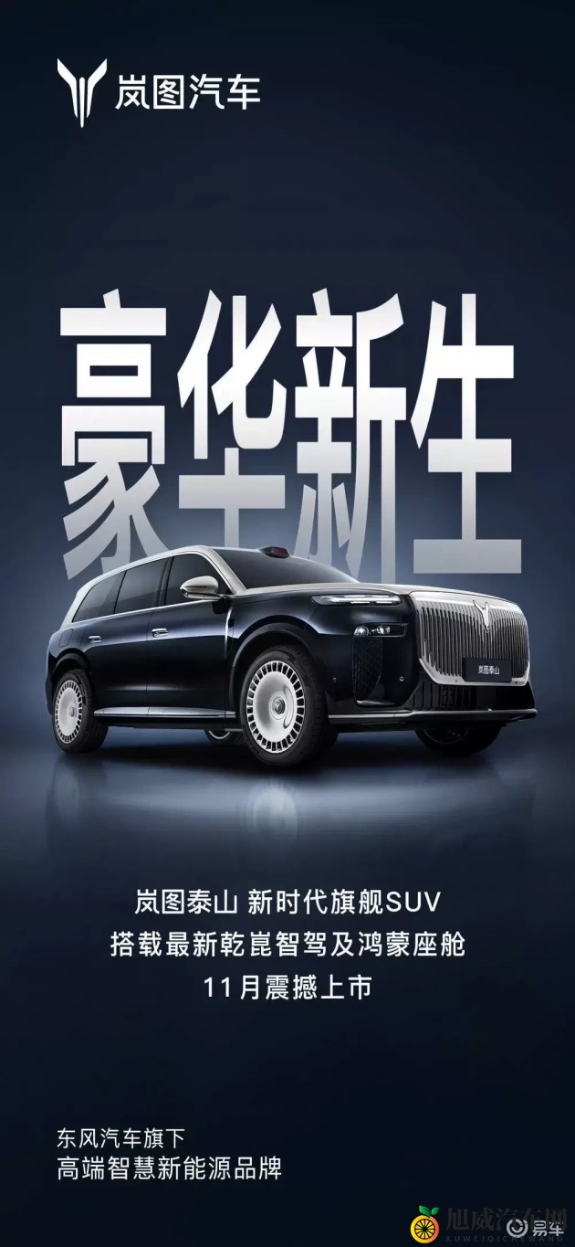 小马大车儿子妈妈：现代家庭出行新选择，创新科技引领潮流-1