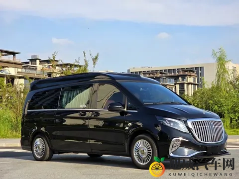 准新一手奔驰威霆，16万公里，宜商宜家，358万拿下！-3