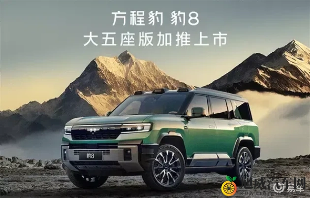 黑人AV：探讨非洲裔成人影视作品-2