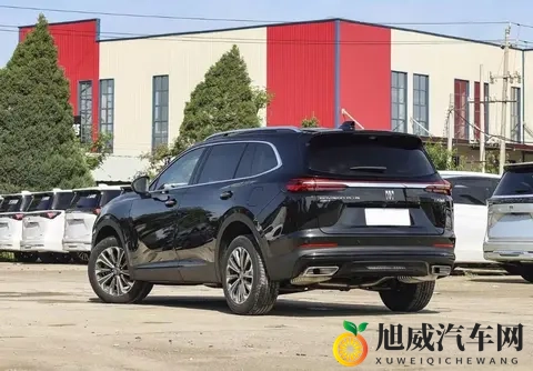 黄色应用大全：全网热门应用汇总大揭秘-3