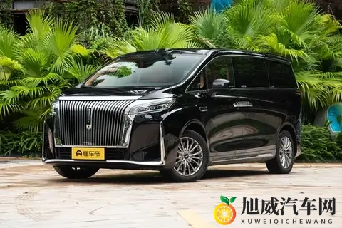 “移动客厅”不只是噱头？带全家出门一趟我就懂了！-1