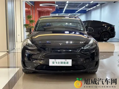 麻豆精东:麻豆之巅,精华汇聚之地-2