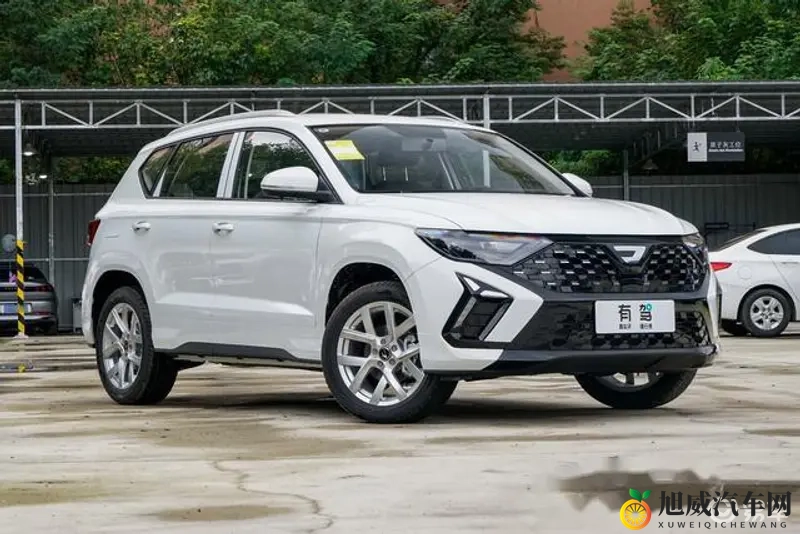 麻花传moo44苏蜜清歌：《麻花传奇，演绎苏蜜与清歌之韵》-1