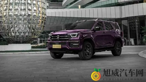 豹 5 最强对手!新款坦克 400 2498万起售,汽油、柴油、插混全都有-3