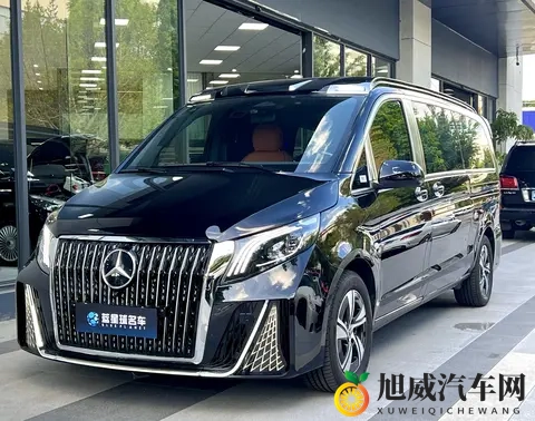 准新奔驰威霆：宜商宜家，升级座驾好选择！-3