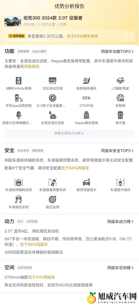 准新坦克300：20T征服者，黑色硬汉风，圆你越野梦-2