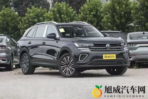 大众揽巡：大五座SUV的优选指南-3