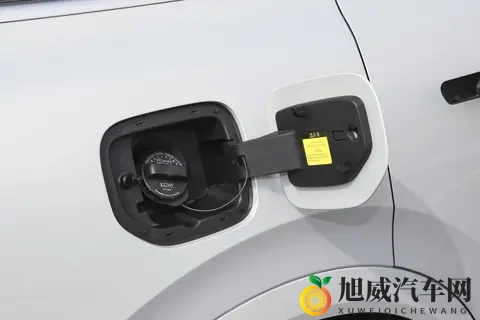 史诗级纠结？深蓝S09与魏牌蓝山，谁才是30万级大六座SUV优选？-3