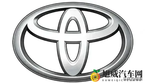 街头新车没标，是故意的？还是真没人认得？-1