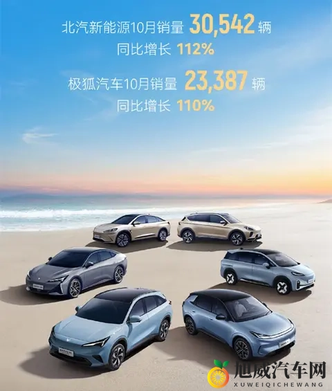 10月新势力销量出炉，“蔚小理”格局大变，理想跌出前五？-3