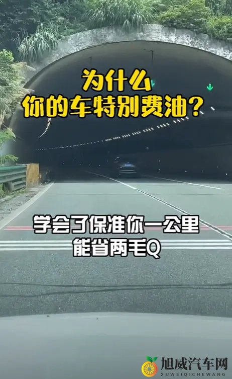 草莓视频成人网站：禁播视频网站揭秘：草莓视频内部内容-3