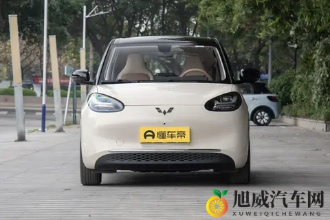 五菱缤果选买建议：满足不同需求的购车指南-2