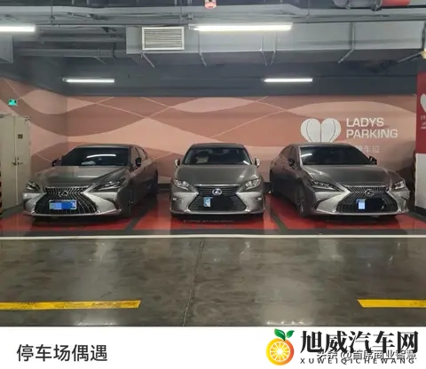 推特破解版免费网站：免费获取推特破解版本，官方网站推荐-2