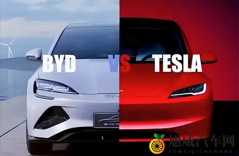 入月丁香几月婷婷：初秋月下丁香初绽，婷婷风姿映夜色-3