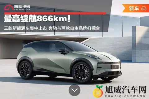 红豆2.0外桂：升级版红豆，外型别致新桂绽放-2