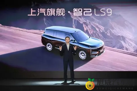 上汽智己LS9开始预售：大家开始算账，豪华车也不香了！-3