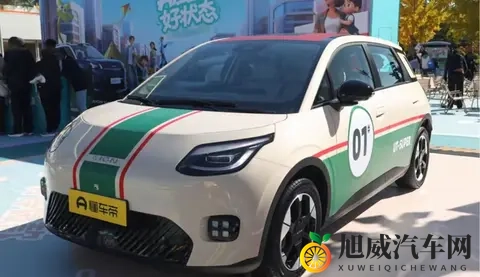 京东卖,广汽造,宁德时代供电池,这车有戏吗?-1