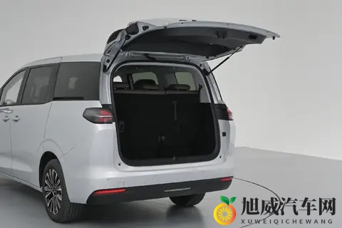 星光730,768万起开启预售,一车3动力,电动侧滑门-2